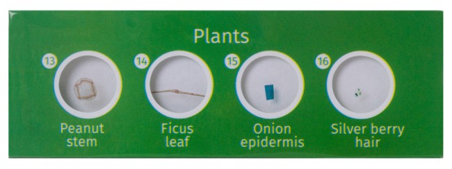 Набор микропрепаратов Levenhuk LabZZ CP24, существа и растения Набор микропрепаратов Levenhuk LabZZ CP24, существа и растения