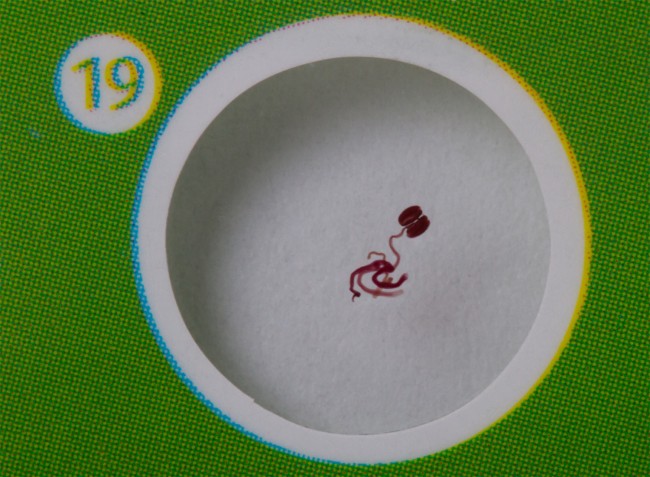 Набор микропрепаратов Levenhuk LabZZ CP24: микропрепарат «пыльца каллистемона» Набор микропрепаратов Levenhuk LabZZ CP24: микропрепарат «пыльца каллистемона»