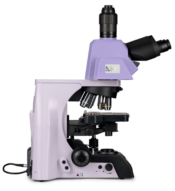 Микроскоп биологический MAGUS Bio 290T Микроскоп биологический MAGUS Bio 290T