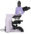 Микроскоп биологический MAGUS Bio 290T Микроскоп биологический MAGUS Bio 290T