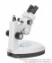 Микроскоп Альтами СМ1/2