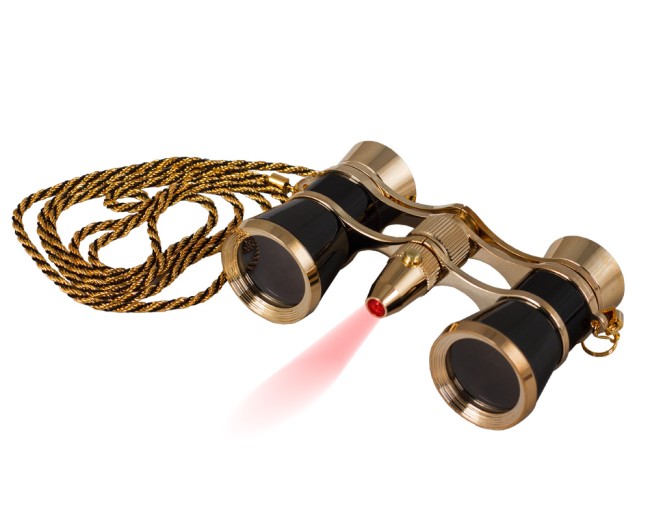 Бинокль Levenhuk Broadway 325F с подсветкой и цепочкой, черный Бинокль Levenhuk Broadway 325F с подсветкой и цепочкой, черный