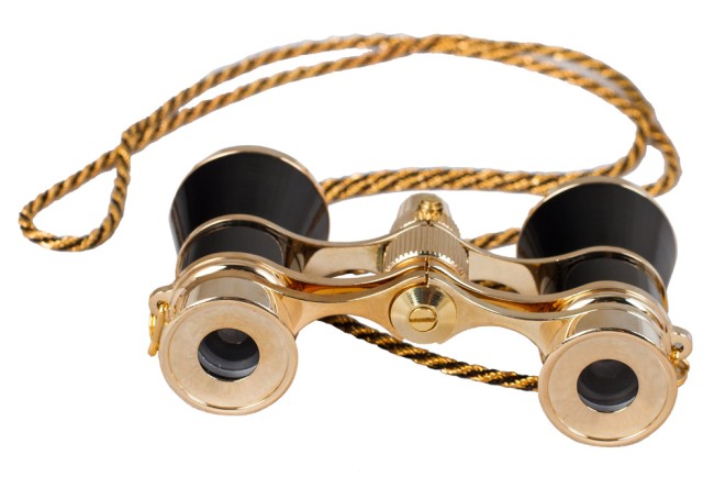 Бинокль Levenhuk Broadway 325F с подсветкой и цепочкой, черный Бинокль Levenhuk Broadway 325F с подсветкой и цепочкой, черный