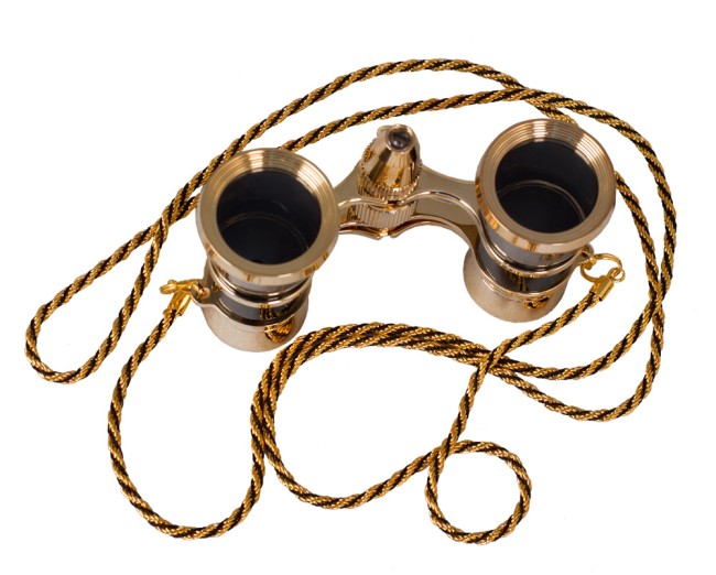 Бинокль Levenhuk Broadway 325F с подсветкой и цепочкой, черный Бинокль Levenhuk Broadway 325F с подсветкой и цепочкой, черный