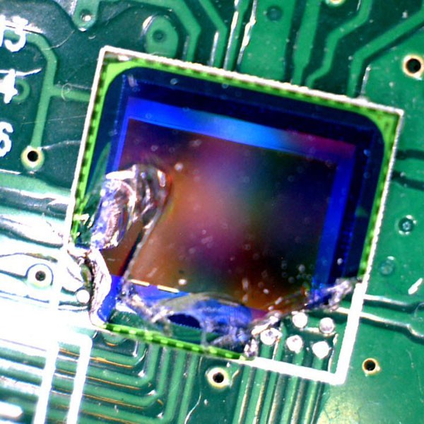 Портативный цифровой микроскоп Celestron Портативный цифровой микроскоп Celestron