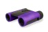 Бинокль Levenhuk Rainbow 8x25 Amethyst Бинокль Levenhuk Rainbow 8x25 Amethyst