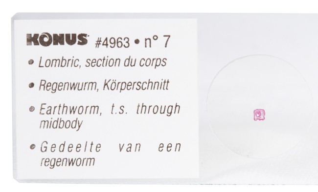 Набор микропрепаратов Konus 10: «Биология» (часть 1)