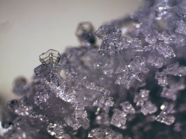 Микроскоп стереоскопический Bresser Erudit ICD 20x/40x