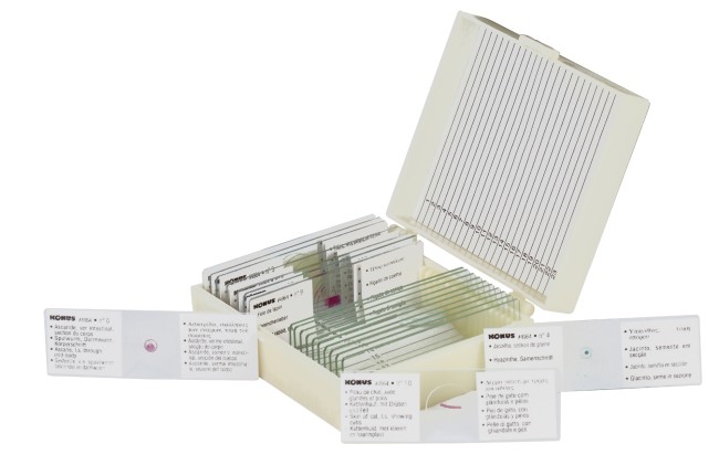 Набор микропрепаратов Konus 10: «Биология» (часть 2)