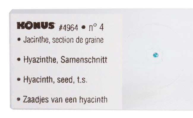 Набор микропрепаратов Konus 10: «Биология» (часть 2)