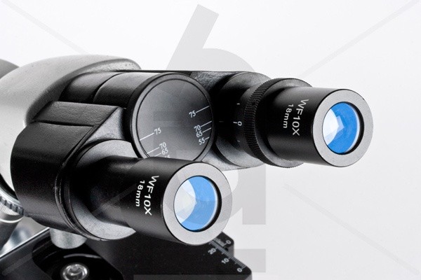 Микроскоп Альтами БИО 7 (бино) Микроскоп Альтами БИО 7 (бино)