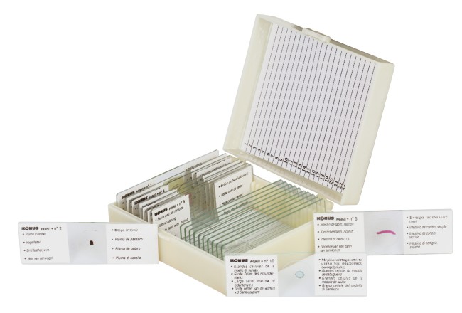 Набор микропрепаратов Konus 10: «Естественные науки» Набор микропрепаратов Konus 10: «Естественные науки»