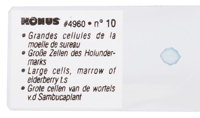 Набор микропрепаратов Konus 10: «Естественные науки» Набор микропрепаратов Konus 10: «Естественные науки»