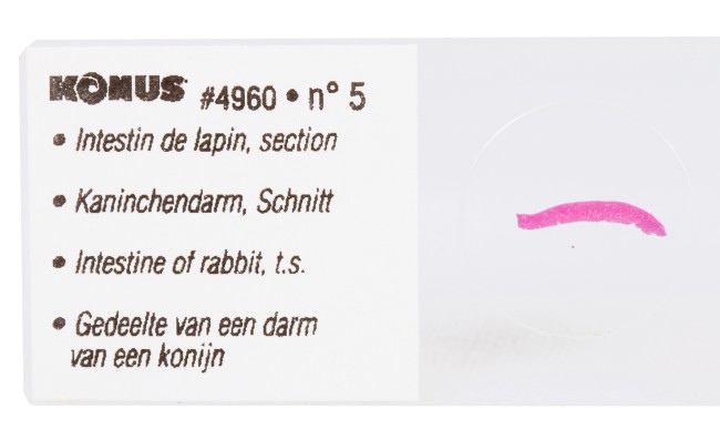 Набор микропрепаратов Konus 10: «Естественные науки» Набор микропрепаратов Konus 10: «Естественные науки»