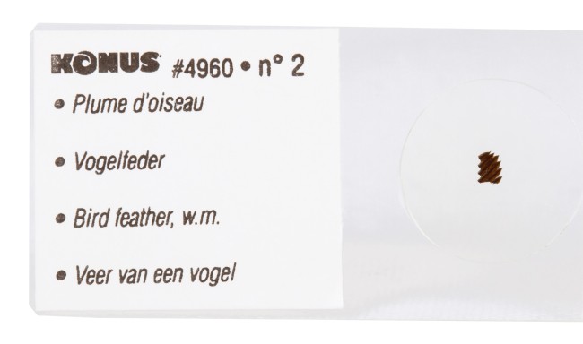 Набор микропрепаратов Konus 10: «Естественные науки» Набор микропрепаратов Konus 10: «Естественные науки»