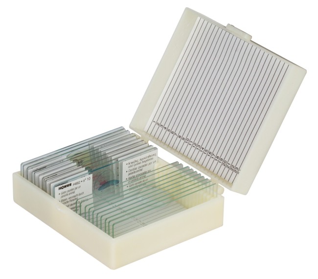 Набор микропрепаратов Konus 10: «Животные и растения. Мутации» Набор микропрепаратов Konus 10: «Животные и растения. Мутации»