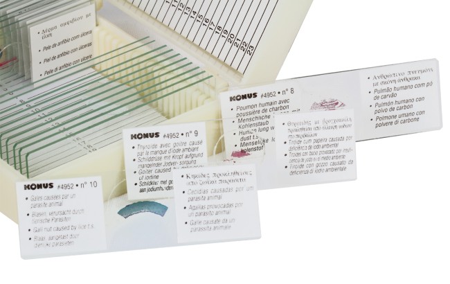 Набор микропрепаратов Konus 10: «Животные и растения. Мутации» Набор микропрепаратов Konus 10: «Животные и растения. Мутации»