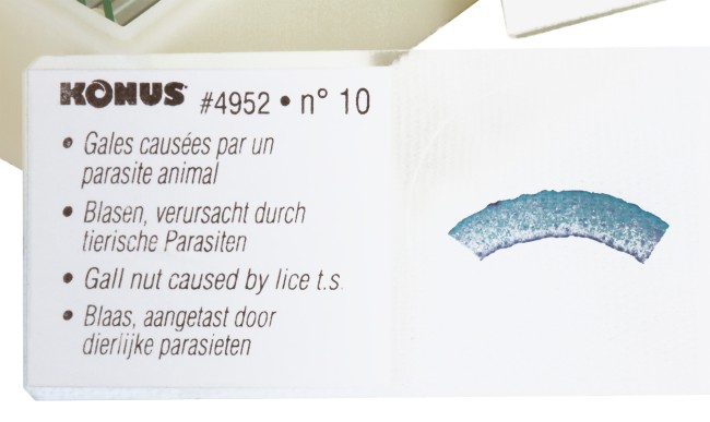 Набор микропрепаратов Konus 10: «Животные и растения. Мутации» Набор микропрепаратов Konus 10: «Животные и растения. Мутации»