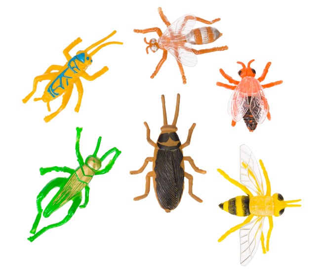 Набор исследователя Discovery Basics EK90 Набор исследователя Discovery Basics EK90