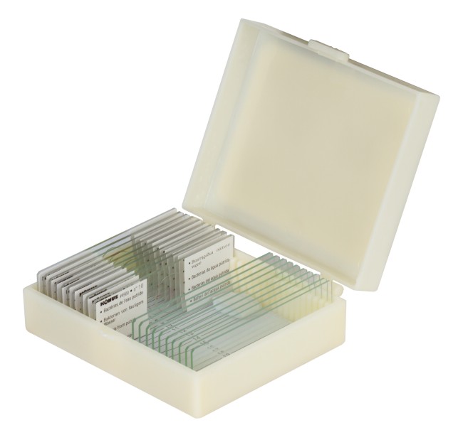 Набор микропрепаратов Konus 10: «Потрясающий мир в капле воды» Набор микропрепаратов Konus 10: «Потрясающий мир в капле воды»