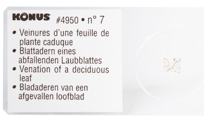 Набор микропрепаратов Konus 10: «Почва»