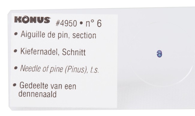 Набор микропрепаратов Konus 10: «Почва»