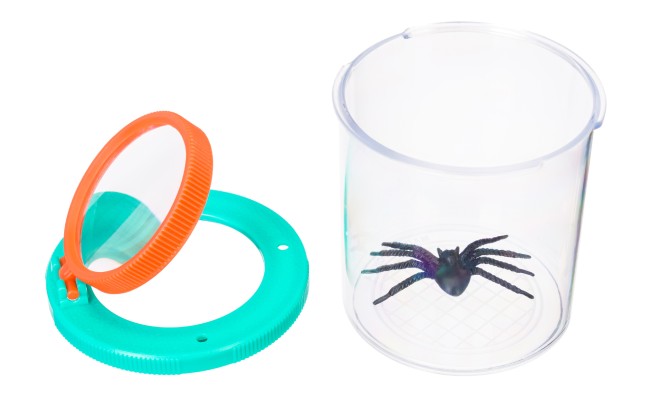 Банка для насекомых Discovery Basics CN5 Банка для насекомых Discovery Basics CN5