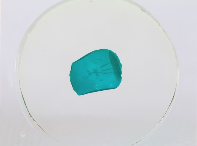 Набор микропрепаратов Konus 10: «Рыбы, лягушки и другие земноводные»