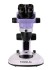 Микроскоп стереоскопический MAGUS Stereo 7T