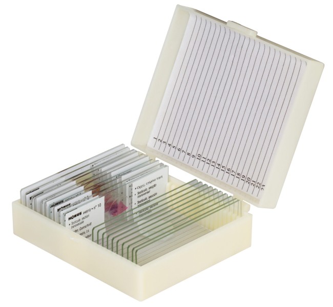 Набор микропрепаратов Konus 10: «Человеческое тело. Норма» Набор микропрепаратов Konus 10: «Человеческое тело. Норма»