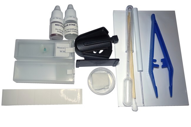 Набор Альтами "Юный биолог" + микротом