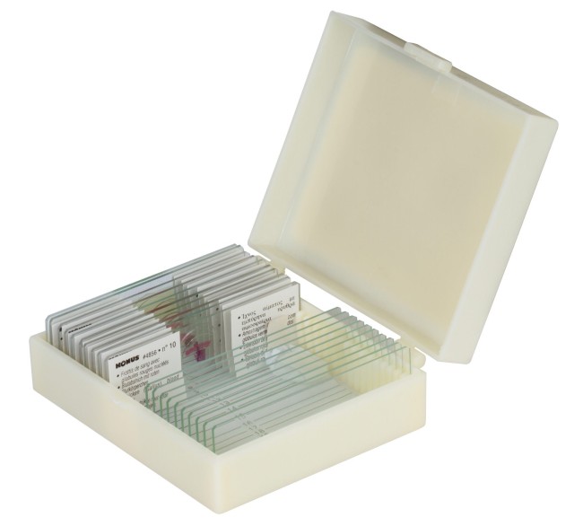 Набор микропрепаратов Konus 10: «Ящерицы, змеи и птицы» Набор микропрепаратов Konus 10: «Ящерицы, змеи и птицы»