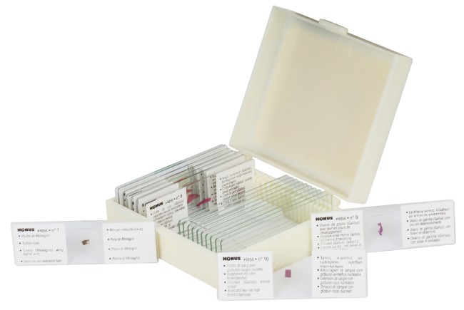 Набор микропрепаратов Konus 10: «Ящерицы, змеи и птицы» Набор микропрепаратов Konus 10: «Ящерицы, змеи и птицы»