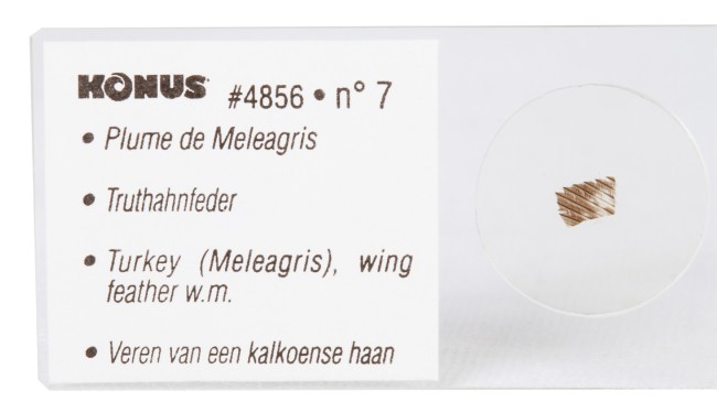 Набор микропрепаратов Konus 10: «Ящерицы, змеи и птицы» Набор микропрепаратов Konus 10: «Ящерицы, змеи и птицы»