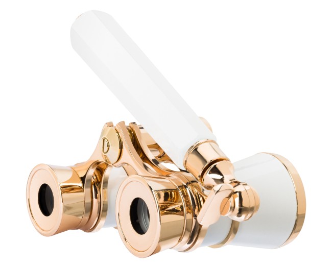 Театральный бинокль-лорнет Levenhuk Broadway 325E, белый Театральный бинокль-лорнет Levenhuk Broadway 325E, белый