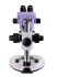 Микроскоп стереоскопический MAGUS Stereo 8B Микроскоп стереоскопический MAGUS Stereo 8B