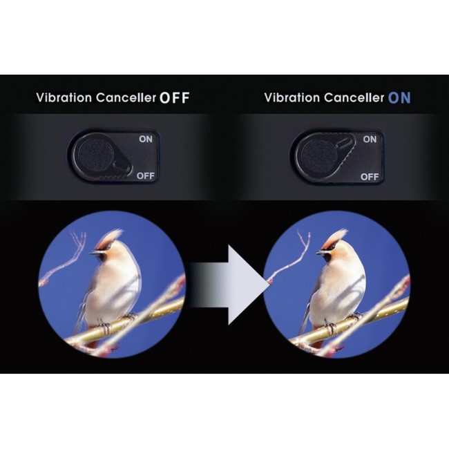 Бинокль Vixen Atera II 14x42 с оптическим стабилизатором