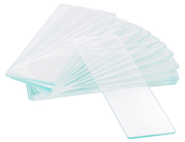 Стекла предметные с лункой Levenhuk G50 1H, 50 шт. Стекла предметные с лункой Levenhuk G50 1H, 50 шт.