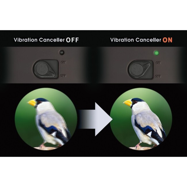 Бинокль Vixen Atera II 16x50 ED WP с оптическим стабилизатором