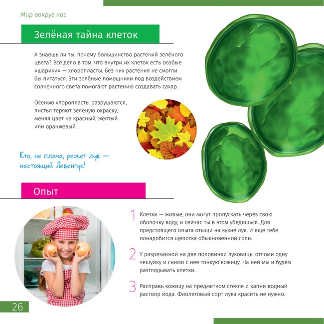 Микроскоп Discovery Femto Polar с книгой Микроскоп Discovery Femto Polar с книгой