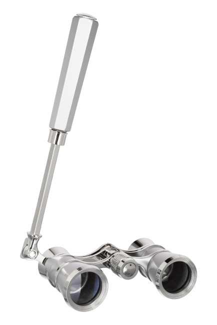 Театральный бинокль-лорнет Levenhuk Broadway 325E, серебристый Театральный бинокль-лорнет Levenhuk Broadway 325E, серебристый