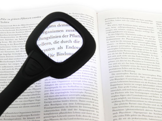 Лупа с ручкой и подсветкой Veber 600558, 3x, 52x52 мм Лупа с ручкой и подсветкой Veber 600558, 3x, 52x52 мм