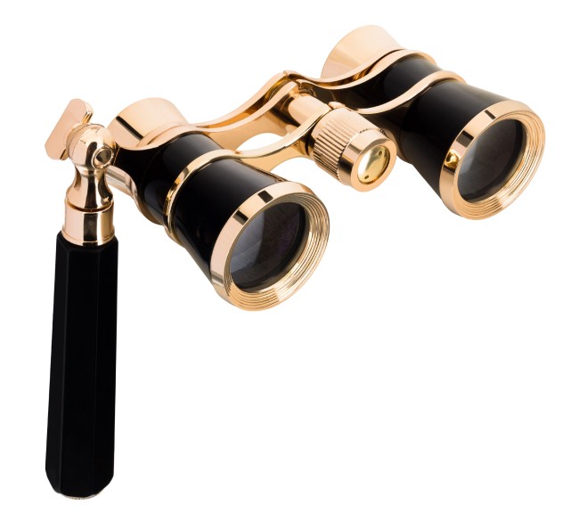 Театральный бинокль-лорнет Levenhuk Broadway 325E, черный Театральный бинокль-лорнет Levenhuk Broadway 325E, черный
