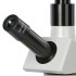 Микроскоп биологический Микромед 1 (вар. 1-20V) Микроскоп биологический Микромед 1 (вар. 1-20V)