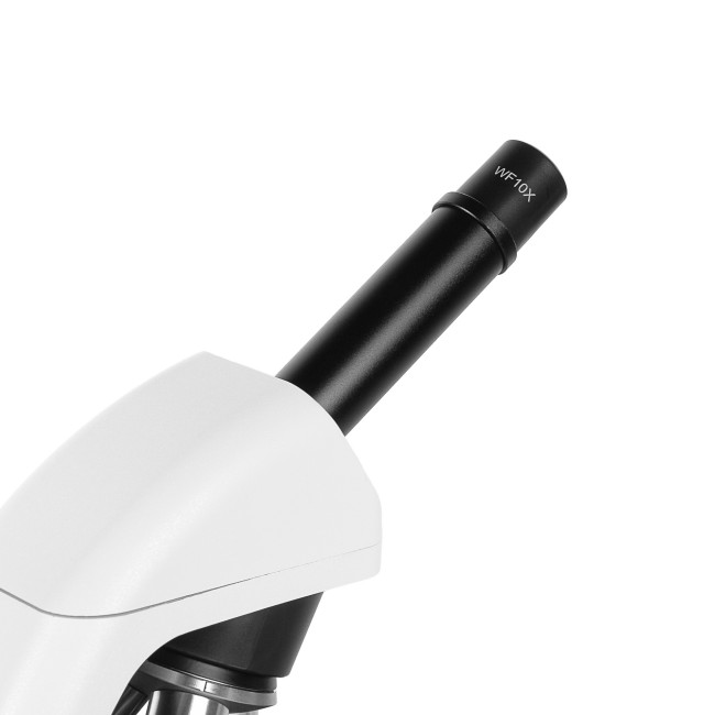 Микроскоп школьный Эврика 40х-1600х (вар. 3) с видеоокуляром Микроскоп школьный Эврика 40х-1600х (вар. 3) с видеоокуляром