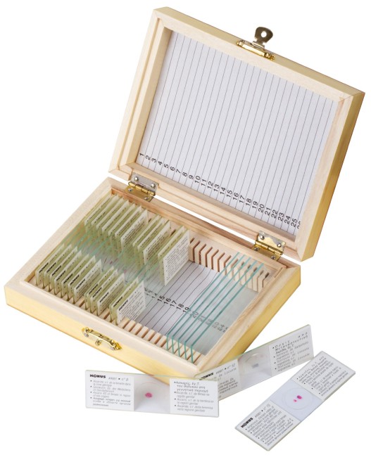 Набор микропрепаратов Konus 15: «Размножение беспозвоночных» Набор микропрепаратов Konus 15: «Размножение беспозвоночных»