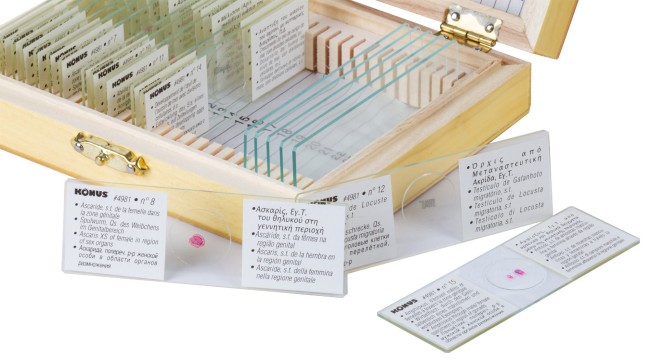Набор микропрепаратов Konus 15: «Размножение беспозвоночных» Набор микропрепаратов Konus 15: «Размножение беспозвоночных»