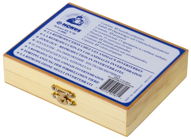 Набор микропрепаратов Konus 15: «Размножение беспозвоночных» Набор микропрепаратов Konus 15: «Размножение беспозвоночных»