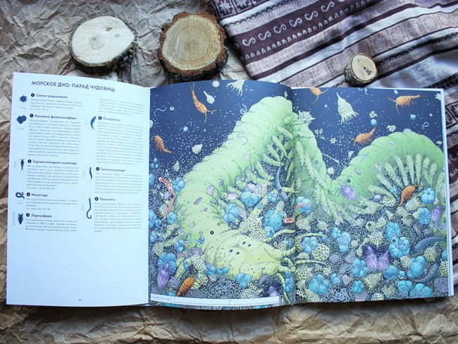 Живой мир под микроскопом