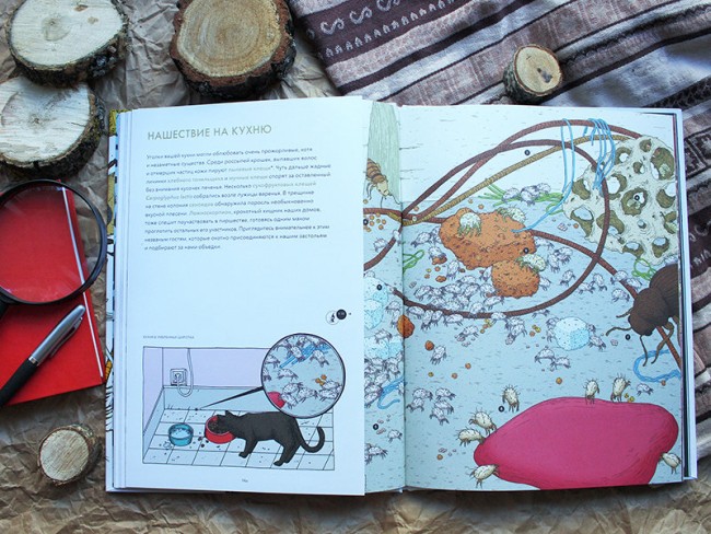 Живой мир под микроскопом